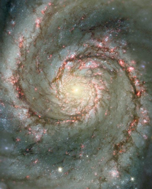 Brazos espirales de M51 (NGC 5194). Se aprecian las agrupaciones de estrellas jóvenes, las regiones HII (rosadas) y las nubes de polvo interestelar (NASA/STScI/AURA/N. Scoville/Caltech)