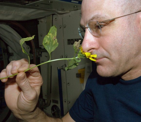 Don Pettit con su flor espacial (un girasol) (NASA).